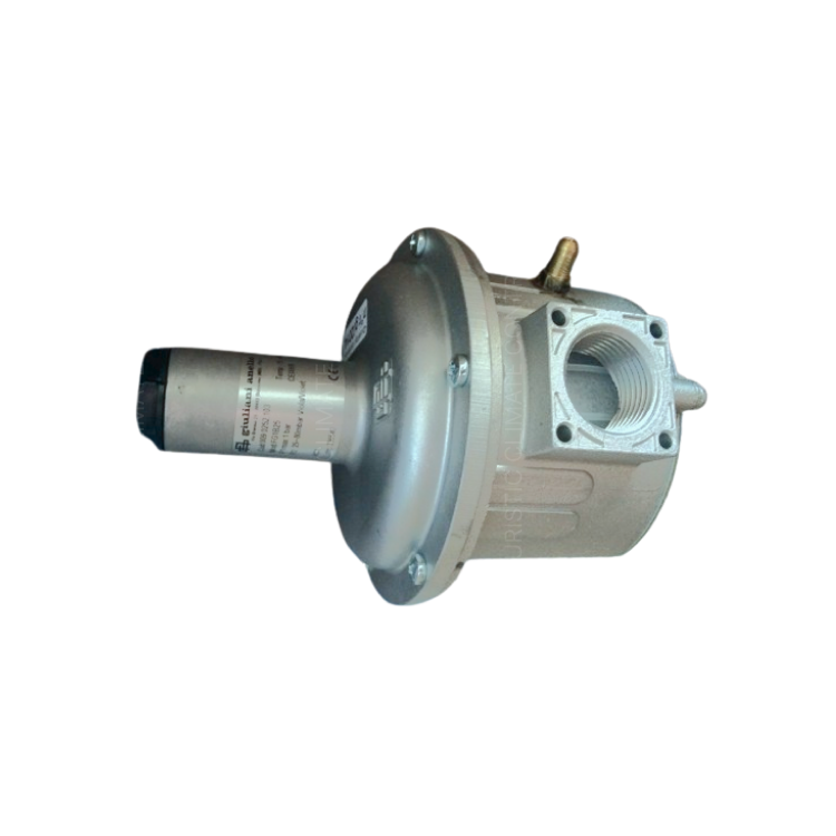 ●弓 Pernambuco Green Winding Advanced 4/4 FG1B25 | Pressure Regulating Valve | Giuliani Anello | Watts