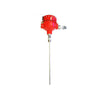 Futuristic Flameproof Temperature Sensor TE02-A-A-S-300-L-T