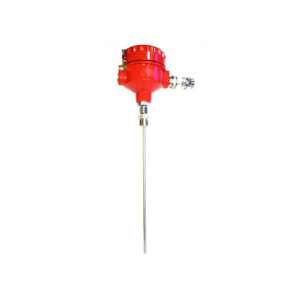 Futuristic Flameproof Temperature Sensor TE02-A-A-S-300-L-N